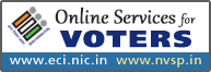 Online Services for Voters